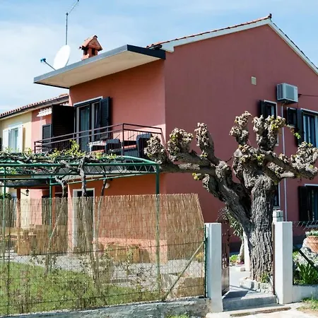 Roza Vila *